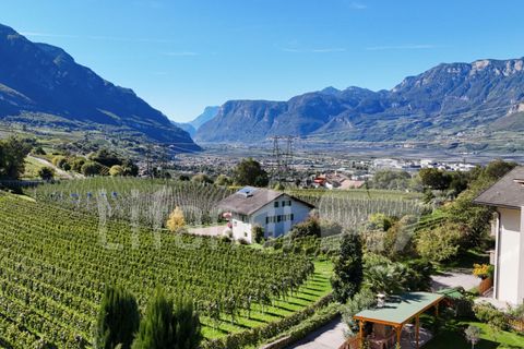 Villa i Montagna, South Tyrol, Montagna - € 1.300.000 | Ref: N008 - foto 2