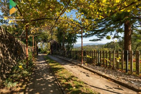 Villa i Ponte de Lima, Viana do Castelo, Ponte de Lima - € 425.000 | Ref: AVV-007-011 - foto 11