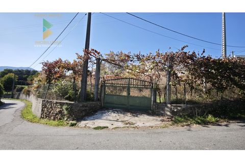 Villa i Ponte de Lima, Viana do Castelo, Ponte de Lima - € 290.000 | Ref: PTL-001-133 - foto 3