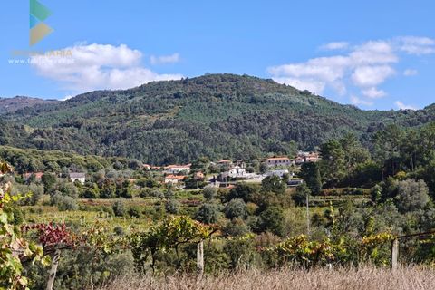 Bungalow i Ponte de Lima, Viana do Castelo, Ponte de Lima - € 295.000 | Ref: PTL-001-132 - foto 1