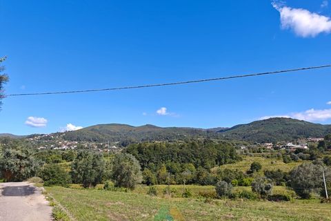 Bungalow i Ponte de Lima, Viana do Castelo, Ponte de Lima - € 295.000 | Ref: PTL-001-132 - foto 3