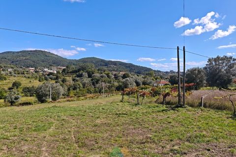 Bungalow i Ponte de Lima, Viana do Castelo, Ponte de Lima - € 295.000 | Ref: PTL-001-132 - foto 4