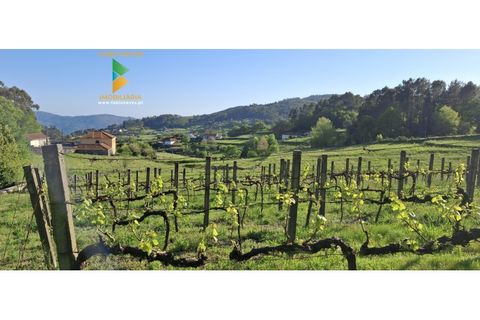 Villa i Viana do Castelo, Viana do Castelo, Viana do Castelo - € 299.000 | Ref: AVV-007-010 - foto 39