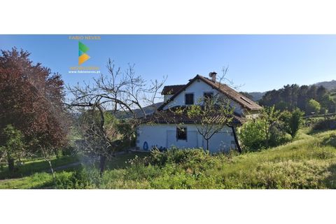 Villa i Viana do Castelo, Viana do Castelo, Viana do Castelo - € 299.000 | Ref: AVV-007-010 - foto 42