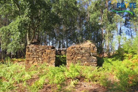 Ruinere i Serta, Castelo Branco, Serta - € 35.000 | Ref: SO10 - foto 1