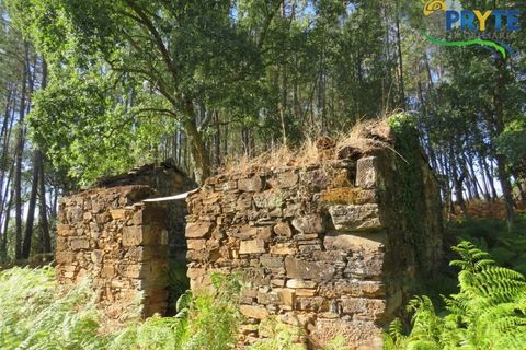 Ruinere i Serta, Castelo Branco, Serta - € 35.000 | Ref: SO10 - foto 2