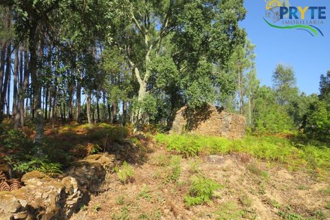 Ruinere i Serta, Castelo Branco, Serta - € 35.000 | Ref: SO10 - foto 3
