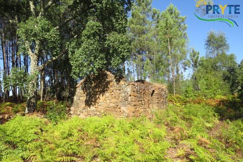 Ruinere i Serta, Castelo Branco, Serta - € 35.000 | Ref: SO10 - foto 4