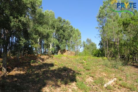 Ruinere i Serta, Castelo Branco, Serta - € 35.000 | Ref: SO10 - foto 5