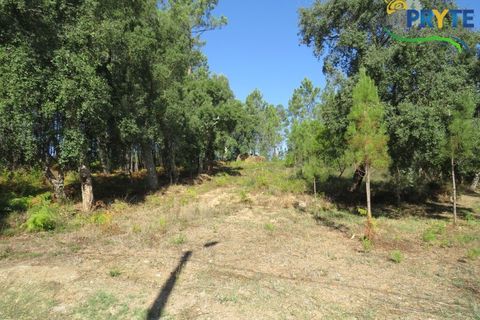 Ruinere i Serta, Castelo Branco, Serta - € 35.000 | Ref: SO10 - foto 6