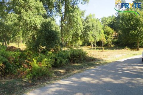 Ruinere i Serta, Castelo Branco, Serta - € 35.000 | Ref: SO10 - foto 7