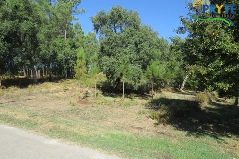 Ruinere i Serta, Castelo Branco, Serta - € 35.000 | Ref: SO10 - foto 8