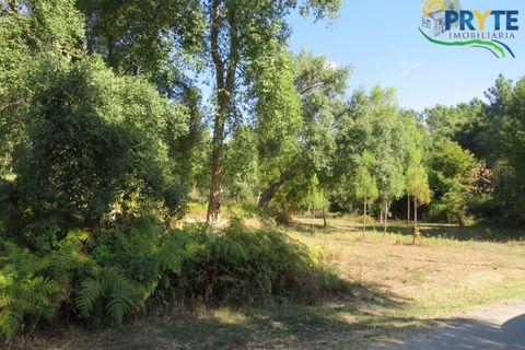 Ruinere i Serta, Castelo Branco, Serta - € 35.000 | Ref: SO10 - foto 10