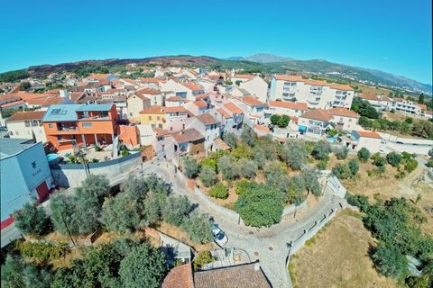 Terra a Dominguizo, Castelo Branco, Dominguizo - € 30.680 | Ref: SÒL_303 - foto 2