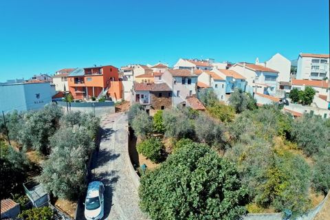 Terra a Dominguizo, Castelo Branco, Dominguizo - € 30.680 | Ref: SÒL_303 - foto 4
