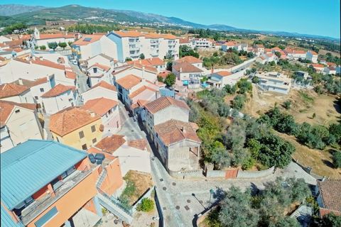 Terra a Dominguizo, Castelo Branco, Dominguizo - € 30.680 | Ref: SÒL_303 - foto 6