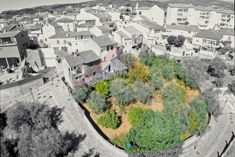 Terra a Dominguizo, Castelo Branco, Dominguizo - € 30.680 | Ref: SÒL_303 - foto 8