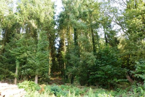 Tomt i Melrand, Morbihan, Melrand - € 21 320 | Ref: 56075-2432 - foto 2