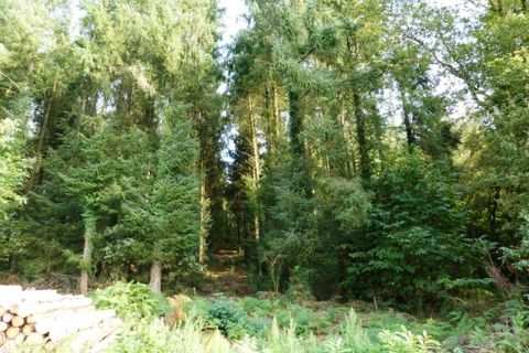 Tomt i Melrand, Morbihan, Melrand - € 21 320 | Ref: 56075-2432 - foto 3
