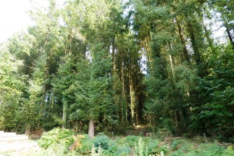 Tomt i Melrand, Morbihan, Melrand - € 21 320 | Ref: 56075-2432 - foto 4