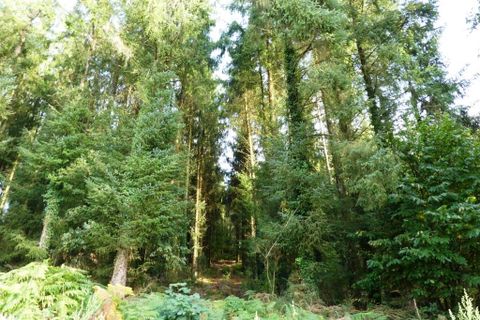 Tomt i Melrand, Morbihan, Melrand - € 21 320 | Ref: 56075-2432 - foto 5