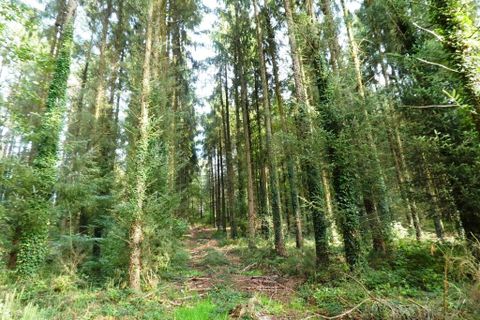 Tomt i Melrand, Morbihan, Melrand - € 21 320 | Ref: 56075-2432 - foto 9