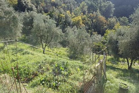 Villa a L'Escarène, Alpes-Maritimes, L'Escarène - € 345.000 | Ref: 86377512 - foto 3