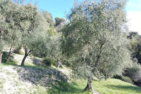 Villa a L'Escarène, Alpes-Maritimes, L'Escarène - € 345.000 | Ref: 86377512 - foto 5