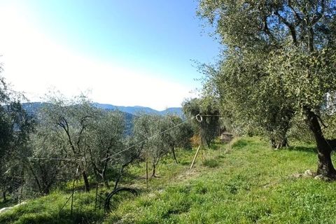 Villa a L'Escarène, Alpes-Maritimes, L'Escarène - € 345.000 | Ref: 86377512 - foto 6
