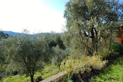 Villa a L'Escarène, Alpes-Maritimes, L'Escarène - € 345.000 | Ref: 86377512 - foto 7