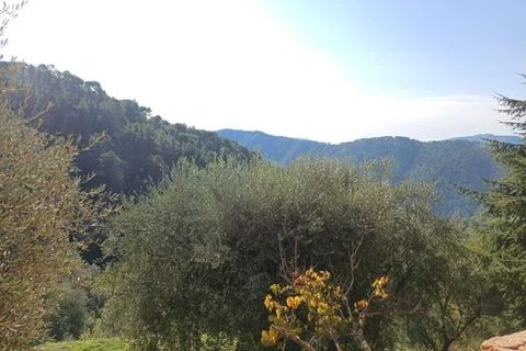 Villa a L'Escarène, Alpes-Maritimes, L'Escarène - € 345.000 | Ref: 86377512 - foto 8
