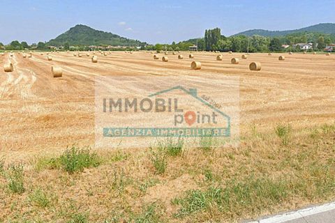 Terra a Teolo, Padua, Teolo - € 195.000 | Ref: G117 - foto 3