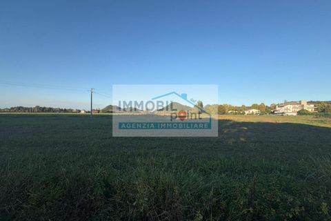 Terra a Teolo, Padua, Teolo - € 195.000 | Ref: G117 - foto 6