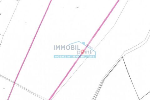 Terra a Teolo, Padua, Teolo - € 195.000 | Ref: G117 - foto 10