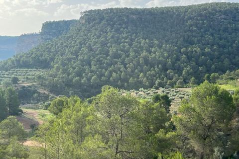 Finca i Jalance, Valencia, Jalance - € 350.000 | Ref: S-1494908 - foto 2