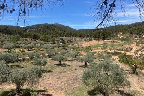 Finca i Jalance, Valencia, Jalance - € 350.000 | Ref: S-1494908 - foto 3
