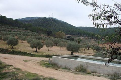 Finca i Jalance, Valencia, Jalance - € 350.000 | Ref: S-1494908 - foto 4
