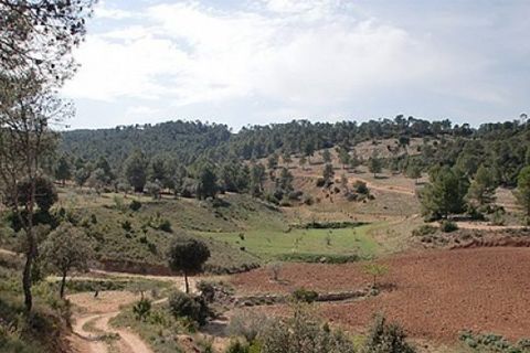 Finca i Jalance, Valencia, Jalance - € 350.000 | Ref: S-1494908 - foto 7