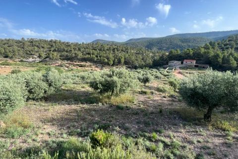 Finca i Jalance, Valencia, Jalance - € 350.000 | Ref: S-1494908 - foto 9