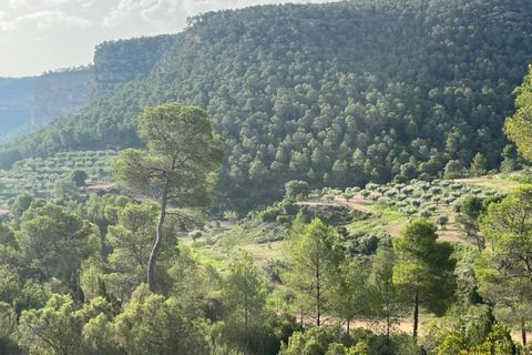Finca i Jalance, Valencia, Jalance - € 350.000 | Ref: S-1494908 - foto 10