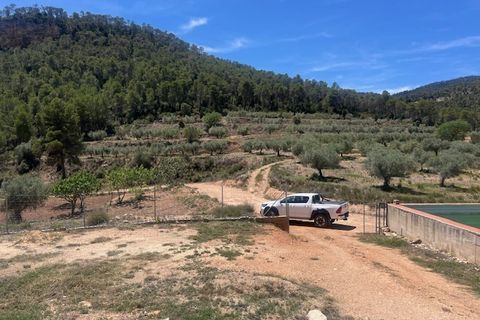 Finca i Jalance, Valencia, Jalance - € 350.000 | Ref: S-1494908 - foto 17