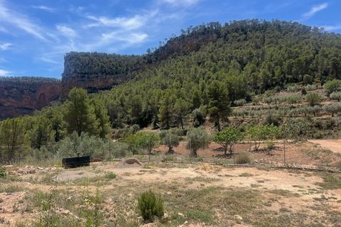 Finca i Jalance, Valencia, Jalance - € 350.000 | Ref: S-1494908 - foto 18