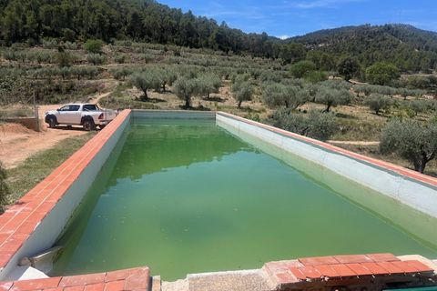 Finca i Jalance, Valencia, Jalance - € 350.000 | Ref: S-1494908 - foto 31
