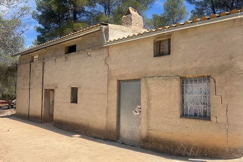 Finca i Jalance, Valencia, Jalance - € 350.000 | Ref: S-1494908 - foto 32