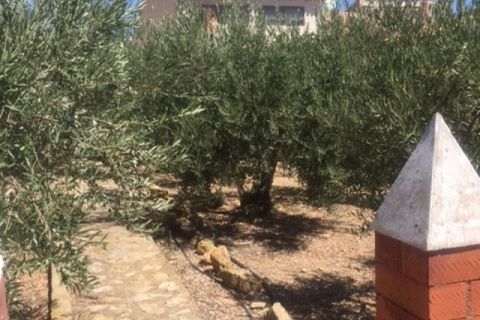 Finca i Zarra, Valencia, Zarra - € 60.000 | Ref: S-1494983 - foto 6