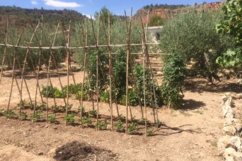 Finca i Zarra, Valencia, Zarra - € 60.000 | Ref: S-1494983 - foto 7