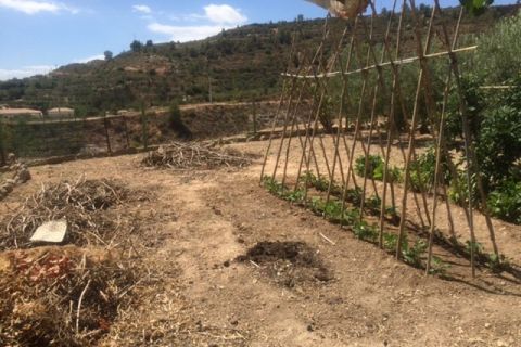 Finca i Zarra, Valencia, Zarra - € 60.000 | Ref: S-1494983 - foto 8