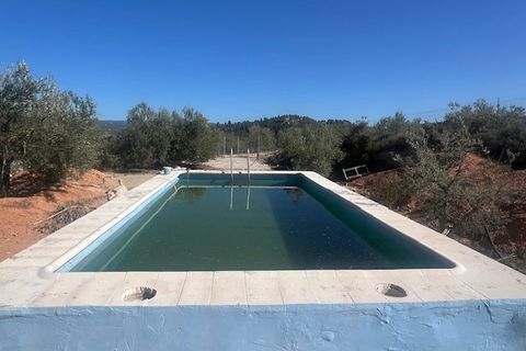 Finca i Ayora, Valencia, Ayora - € 145.000 | Ref: S-1544628 - foto 2
