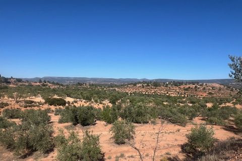 Finca i Ayora, Valencia, Ayora - € 145.000 | Ref: S-1544628 - foto 4