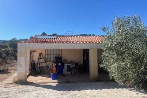 Finca i Ayora, Valencia, Ayora - € 145.000 | Ref: S-1544628 - foto 5